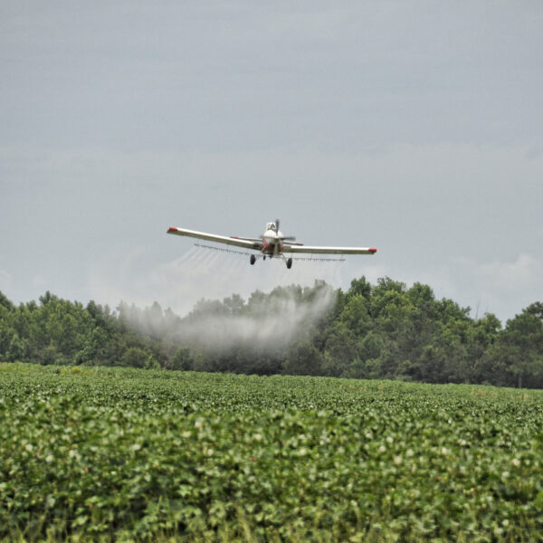 Small aircraft spraying fertilizer, pesticides, herbicides over agrictultural field.