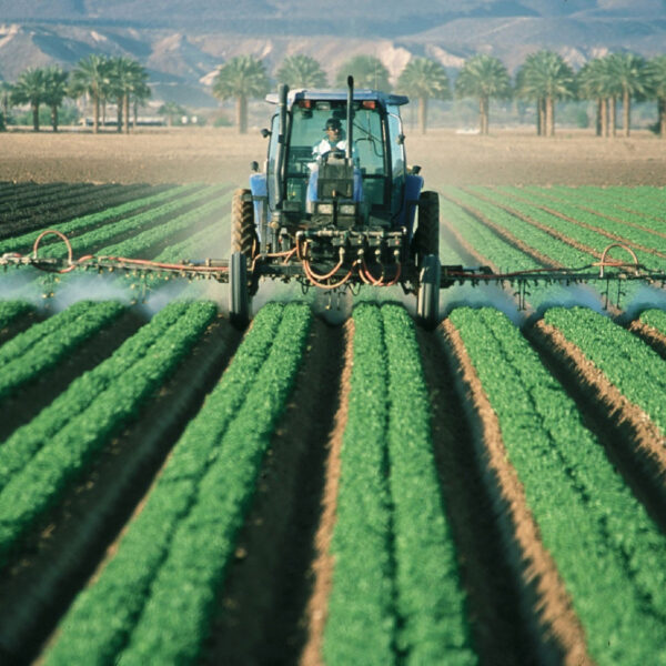 Spraying pesticides